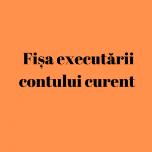 Fișa executării contului curent