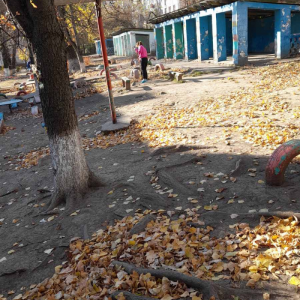 Salubrizarea zilnică a terenului aferent, adiacent al instituției nr.138, str.M.Dragan , 6/1
