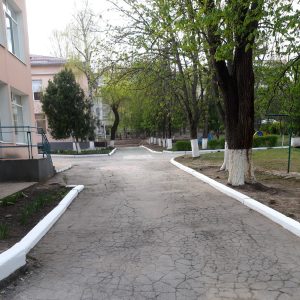 Angajații IET nr.138 finalizează acțiunile de salubrizare a terenurilor aferente/adiacente instituției