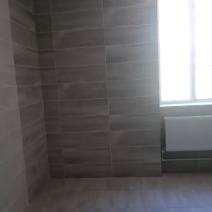 Reparația capitală a blocurilor sanitare
